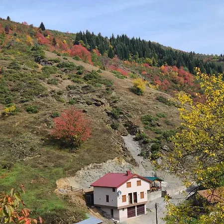 Kristina - No.2 Apartment Vrben